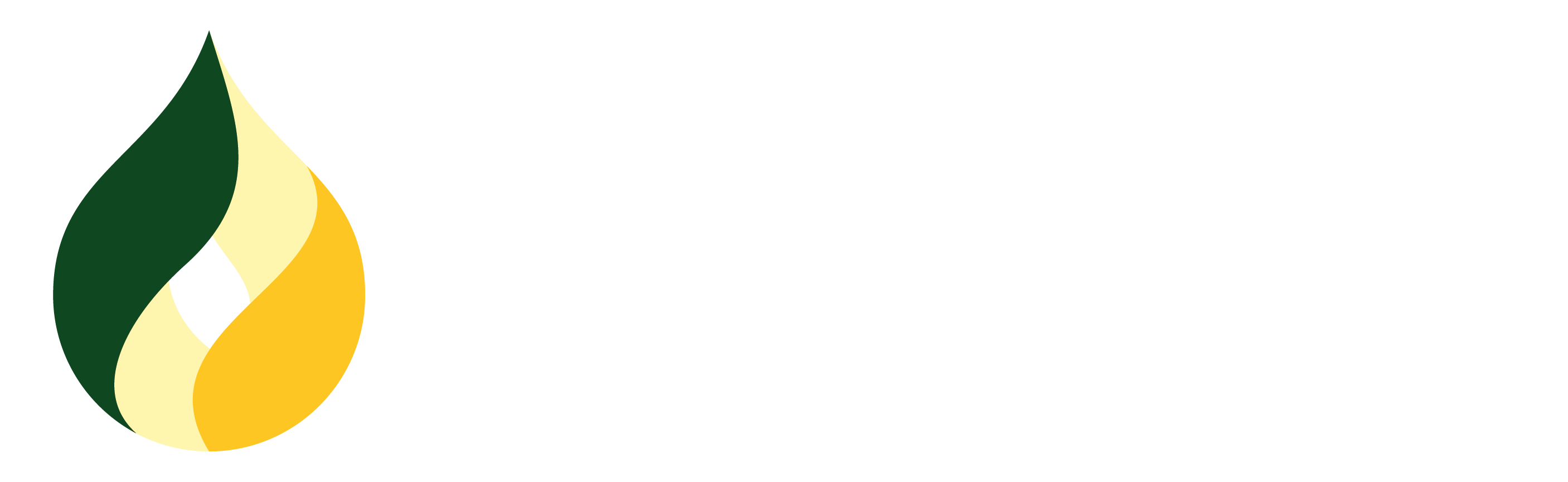 Biofuture Technologies